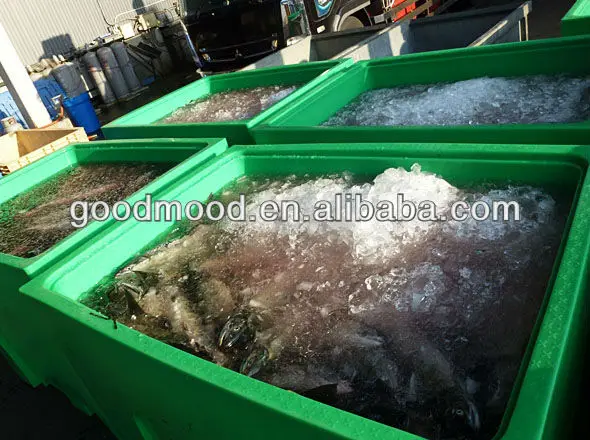 meat and seafood insulated plastic containers