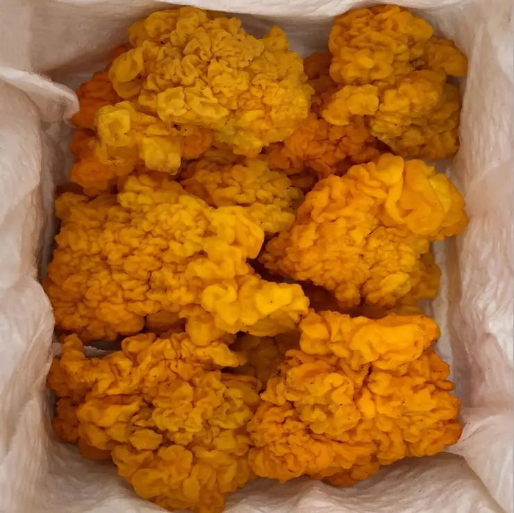  Золотистый гриб Detan Fresh Tremella Aurantialba