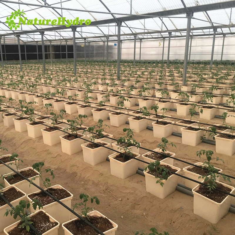 Коммерческие Гидропонные Горшки для выращивания, голландский Батон, ведро для помидор