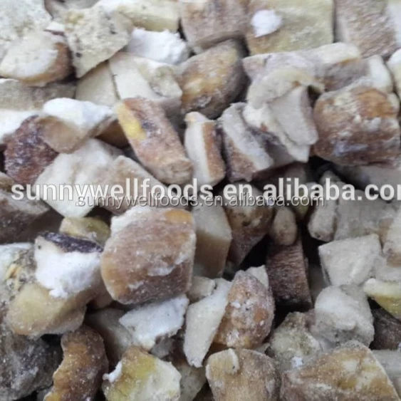 High Quality Frozen Wild boletus edulis cubes