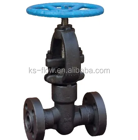 Asme b16.34 a105 globe valve dn40