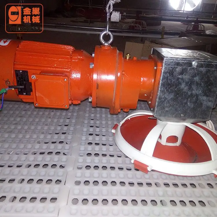 Chicken Poultry Farming Automatic Feeding System and Chicken Equipment for Poultry Farm