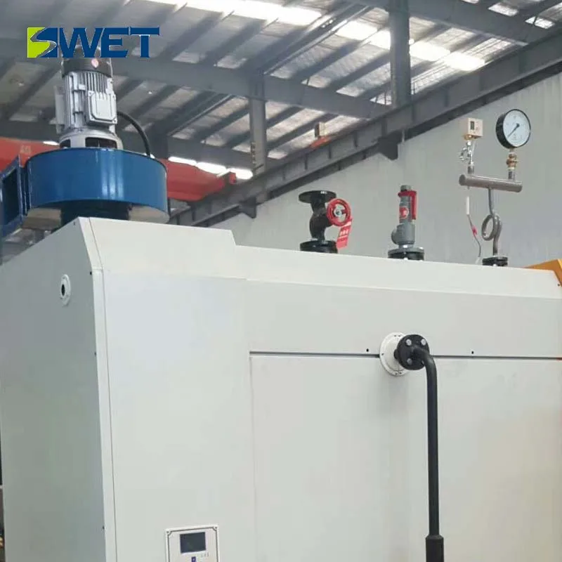 Reliable performance 600kg biomass micro steam generator for car washing