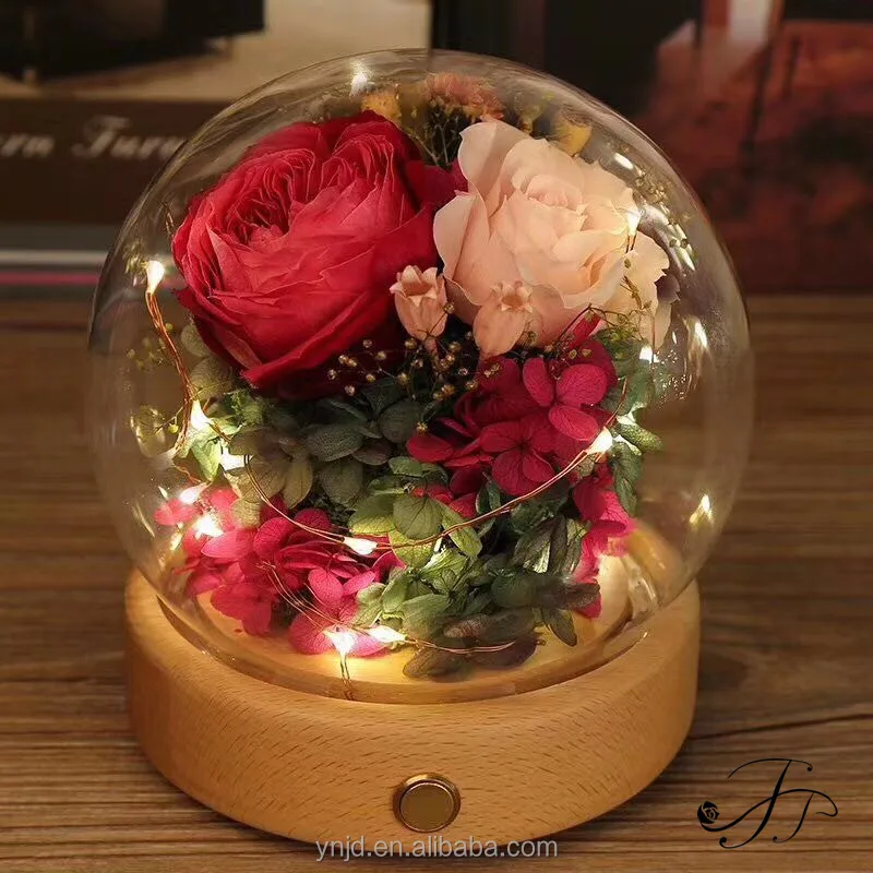 
Unique LED Gifts JJ Preserved Roses in Glass Dome 