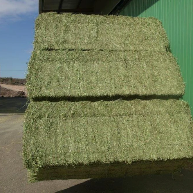 mix of alfalfa and wheat straw
