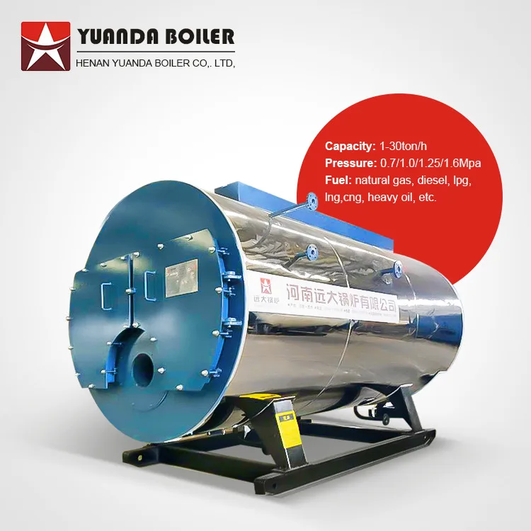 High Thermal Efficiency Italy Burner Riello Natural Gas Boiler