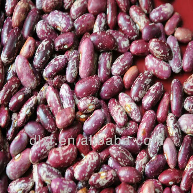 2013 crop purple speckled Kidney beans