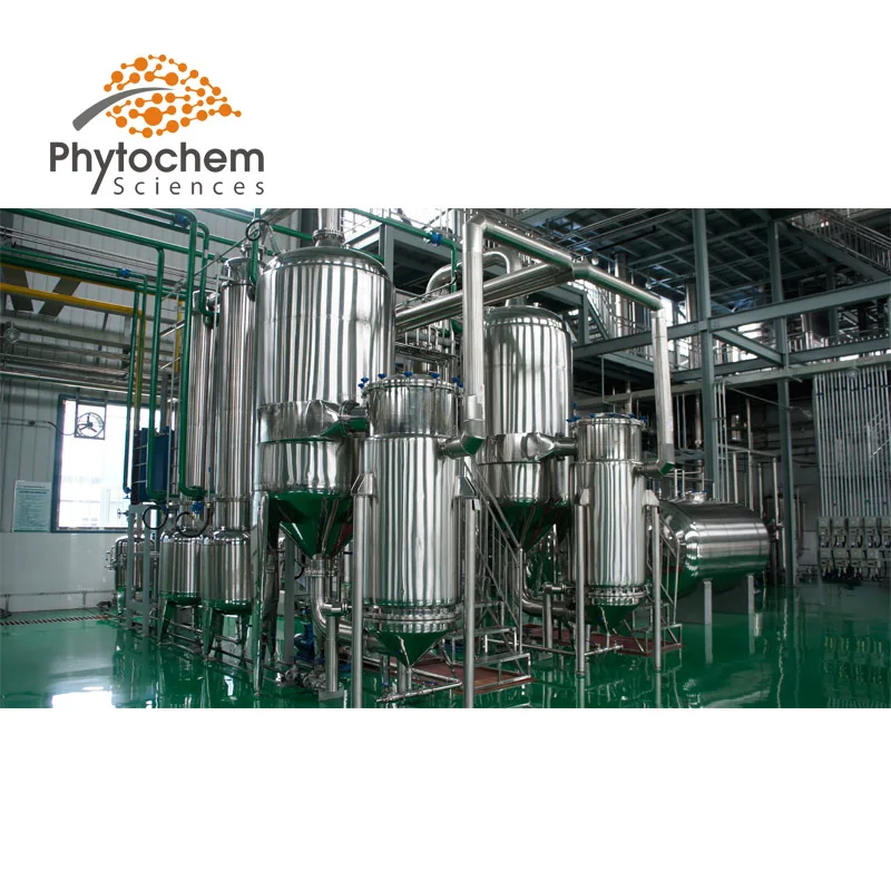 
Sell natural chaga mushroom triterpene extract organic chaga mushroom supplier raw chunke chaga mushroom 