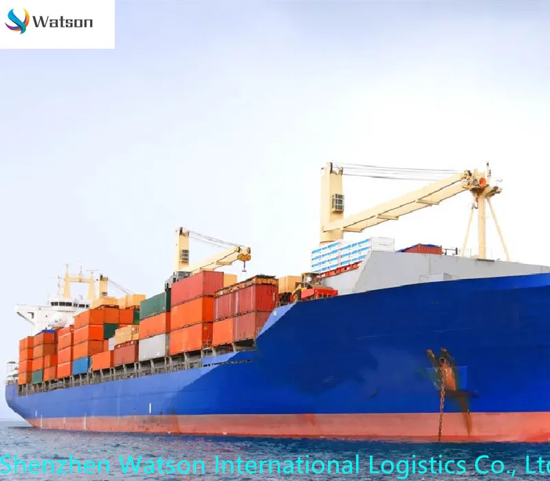 
China to France FBA home delivery AirDDP service 