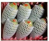 
PE foam net extrusion machine 