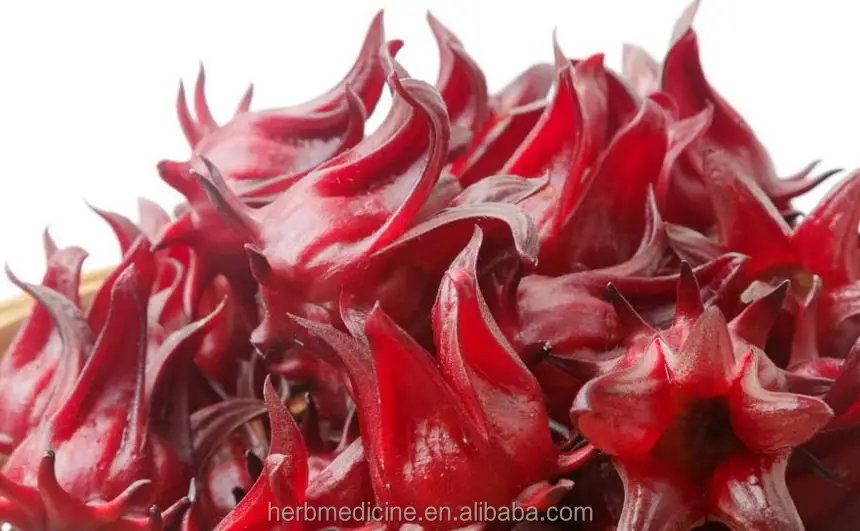 Planting base sale ROSELLE Dried red Hibiscus sabdariffa flowers for sale