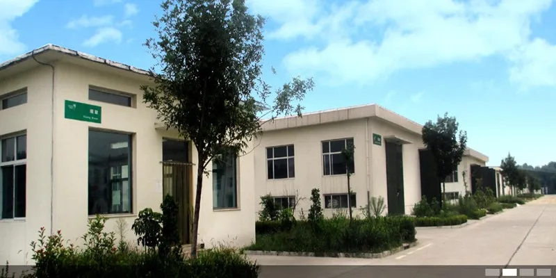 Alkaline Protease in Leather Depilation enzyme