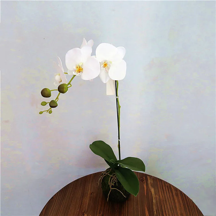 2019 Hotsales orchid silk daisy flower for interior decoration