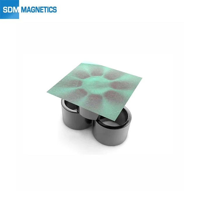 IATF9001 Professional Customized Multipole Radial Magnetization Magnet