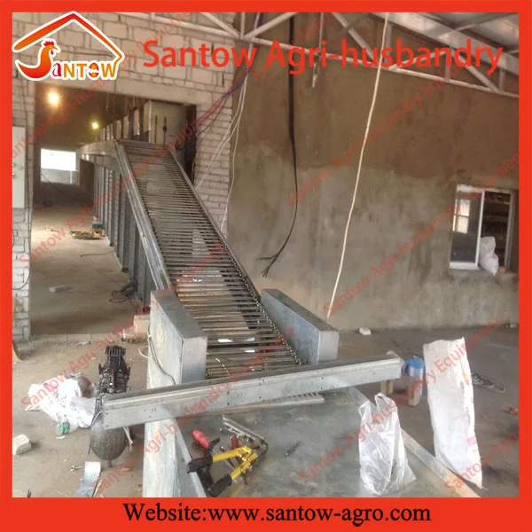 wholesale live birds trap cage on sale