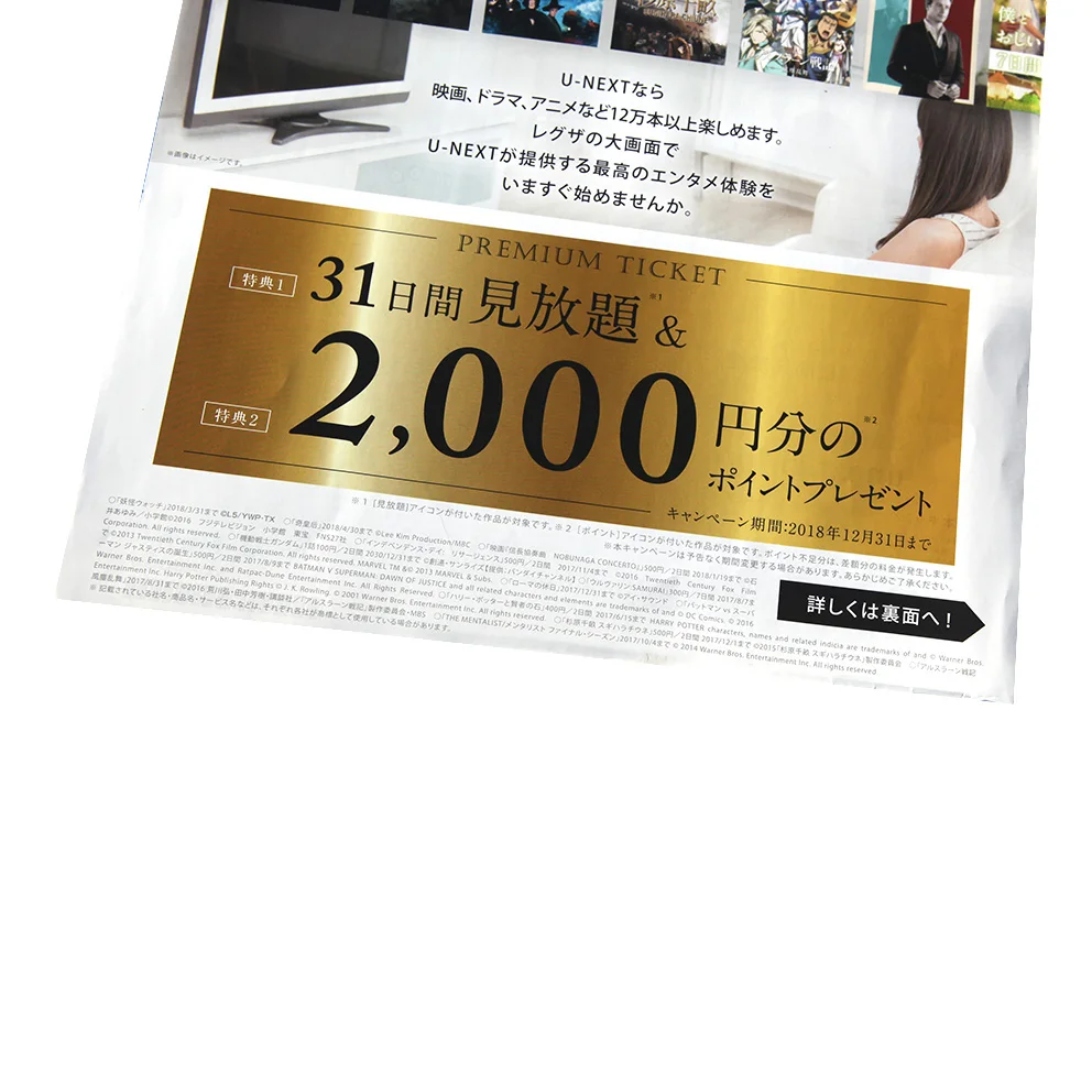 
High Quality Custom Advertising Flyer Full Color Cheap Price Ticket Printing in China 