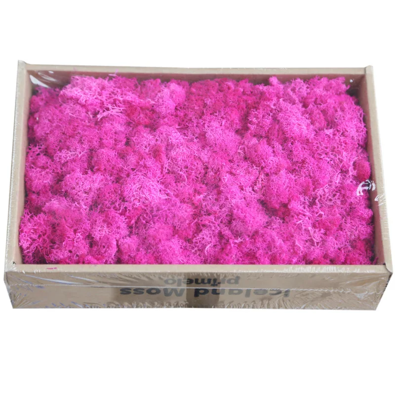 wholesale decorative moss 10 colors real touch preserved immortal moss for wedding backdrop decoration
