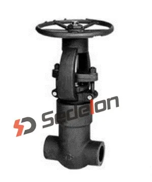 Butt Weld /Socket weld A105N Gate Valves