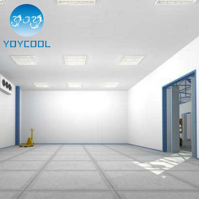 Новый дизайн, высокое качество холодная комната для хранения оборудования для лука