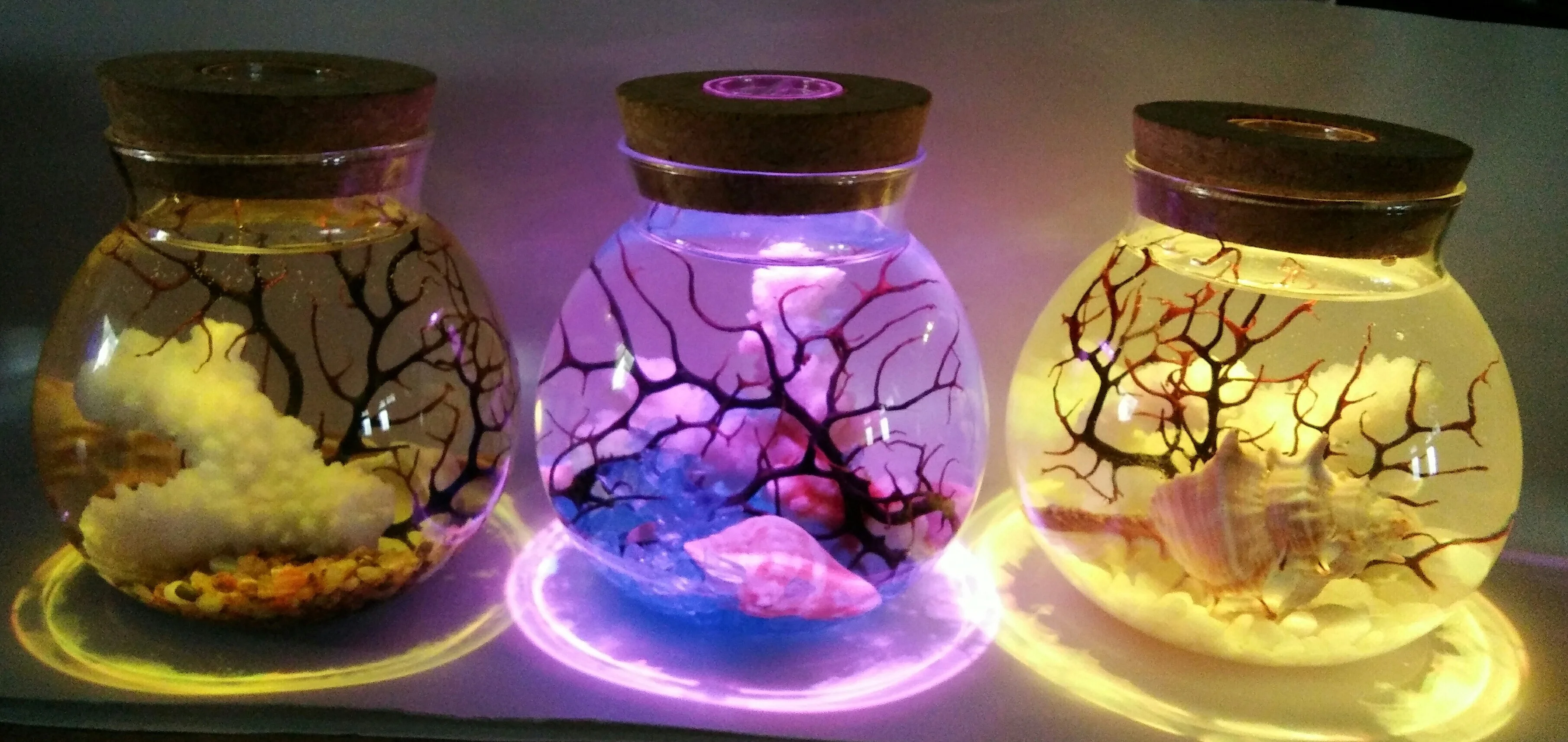 Sea Hornbeam and seashells in bottle with multi color LED light sand nautical gift house decor home decoration gift desktop