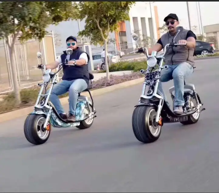 EEC Approved  Citycoco Electric Scooter Motorcycle City Coco Electric Motorcycle Retro Style Vintage Bike EU Homologation 2019