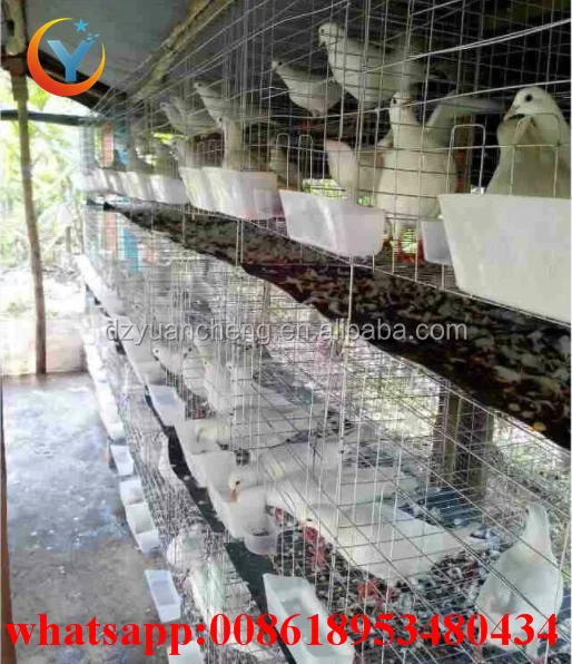 chicken cage quail cage design pigeon coops pigeon breeding cage for sale