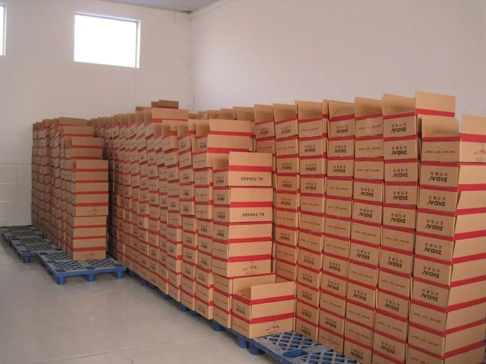 Active Instant Dry Yeast for Bread Making, Dried Yeast Bread, Food Ingredients Yeast Manufacturers