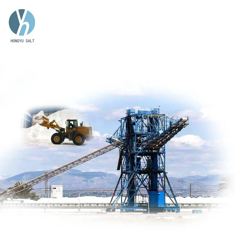 
Sea Table Salt Powder Making Machine 