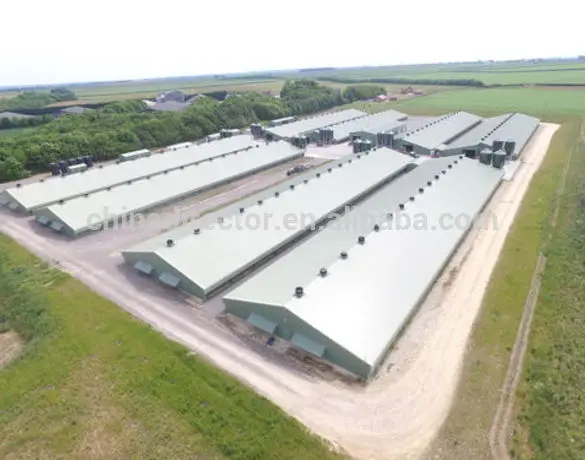  Гостиничное использование и стальной материал Птичий дом для 10000 кур