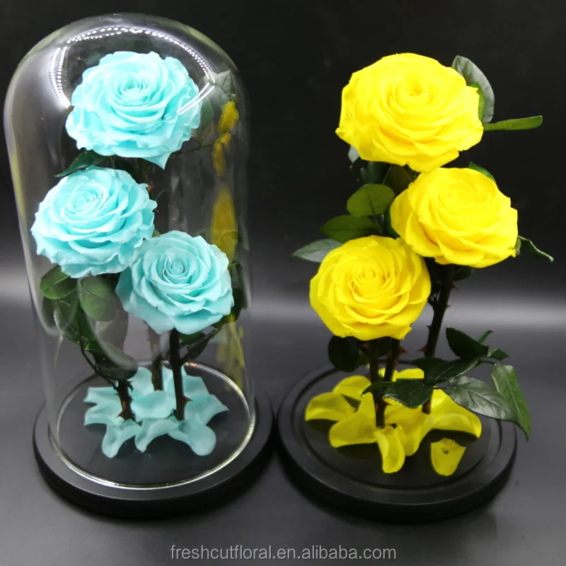 Wholesale Preserved Roses Preserved Roses With Stem in glass dome From Yunnan