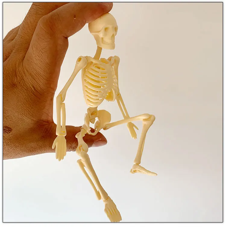20CM can be assembled human skeleton model toy bone gifts