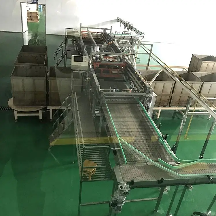 24h reply hot selling automatic basket loading machine