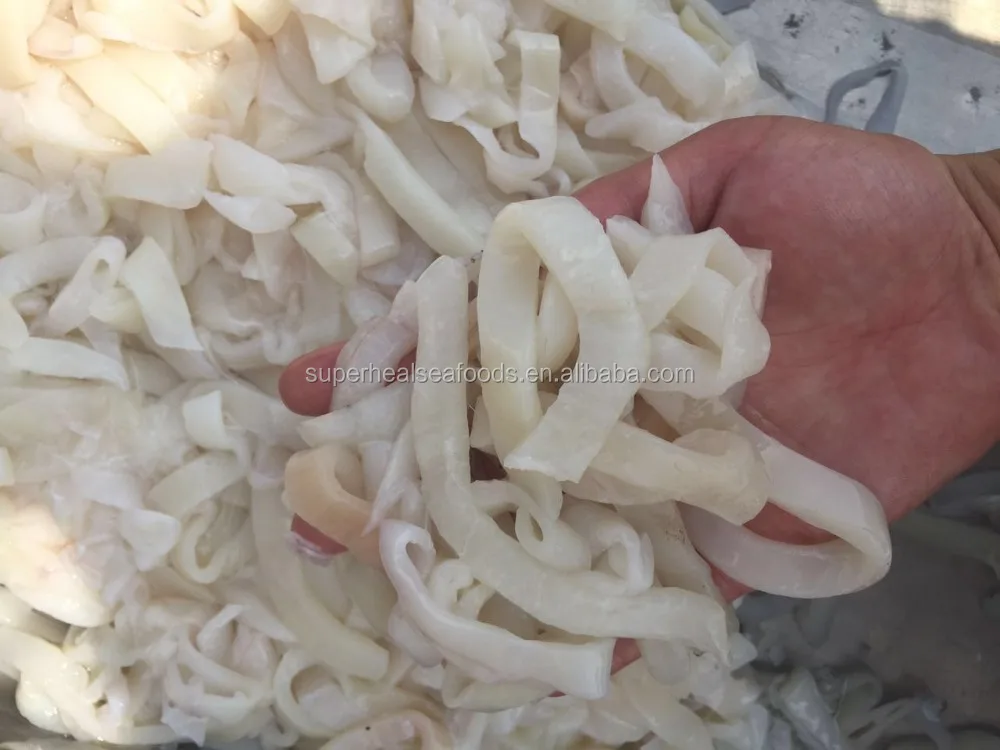 Supply Frozen squid minced meat squid ring