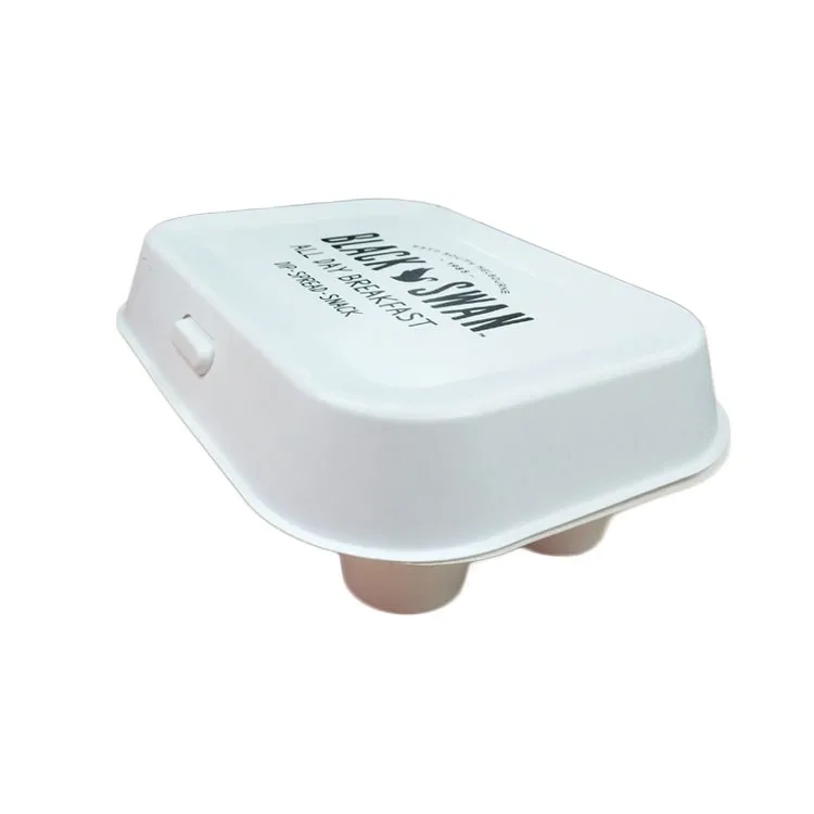 Custom biodegradable sugarcane molded pulp packaging boxes with print