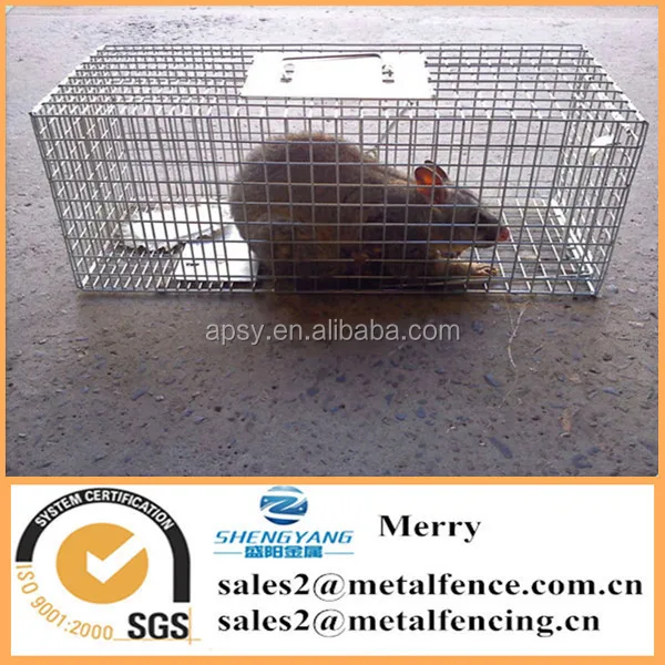 
1inch metal welded iron wire grid mesh sheet galvanized welded wire mesh for fencing and animal cage 