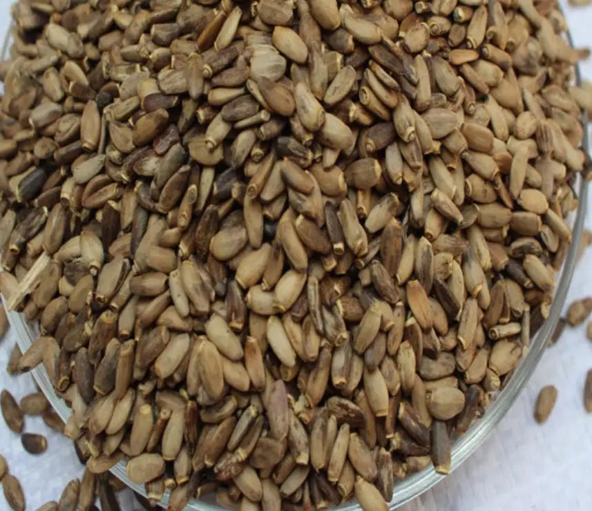 Shui fei ji высокое качество Китай сушеные полностью Горячая Распродажа Семена расторопши