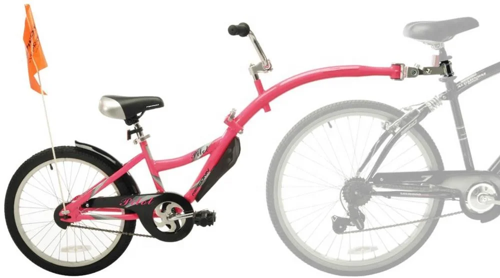 Fashion 20inch Mountain Train /Folding Arm for Easy Storage/Tandem Bicycle (SY-TD2004)