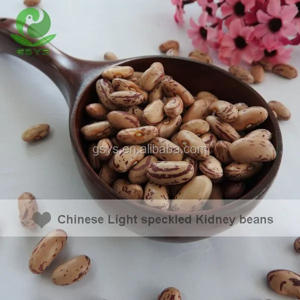 White Beans Type and Kidney Beans Type Light Speckled Kidney Beans