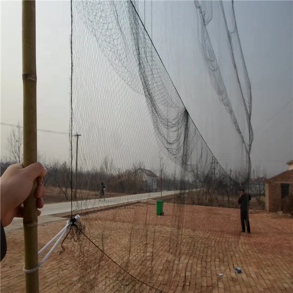 
Bird Nets for Catching Birds / Black Bird Mist capture Net for bats Agriculture With Cheap Price 