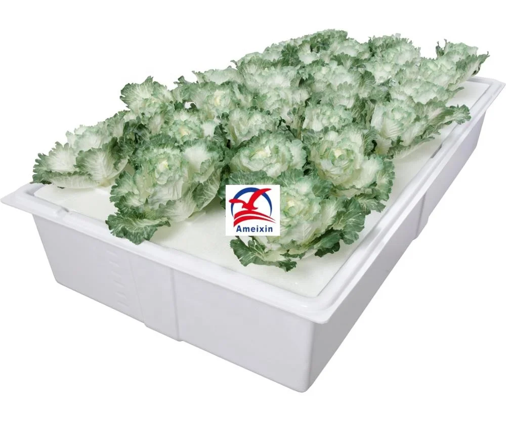 Multifunctional Customized OEM Thermoforming Plastic Hydroponic Cultivate Tray