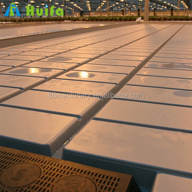 Tray-waterb seedbed system greenhouse flood and drain tray hydroponics