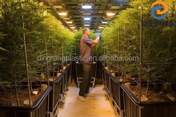 
1500L China manufacturer square shape plastic water tank 