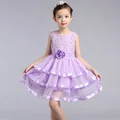 3 12T summer style girls dress 2016 new girl party evening dress white gauze cuhk fashion