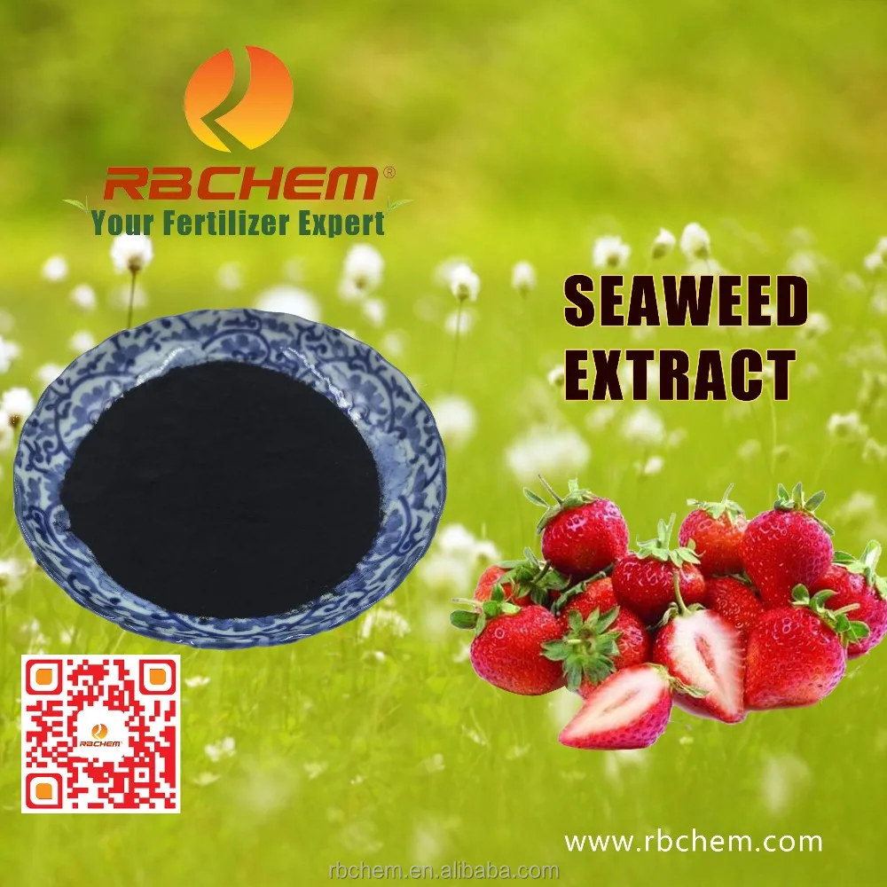 Plant Nutrients Agriculture Natural Seaweed Extract Organic Fertilizer In RBCHEM