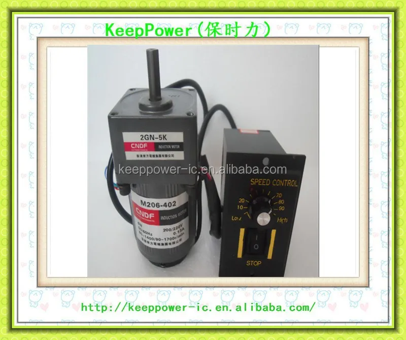M206-402/2GN-5K 220V AC single phase damping geared motors 6W motor gear motor with low speed micro governor