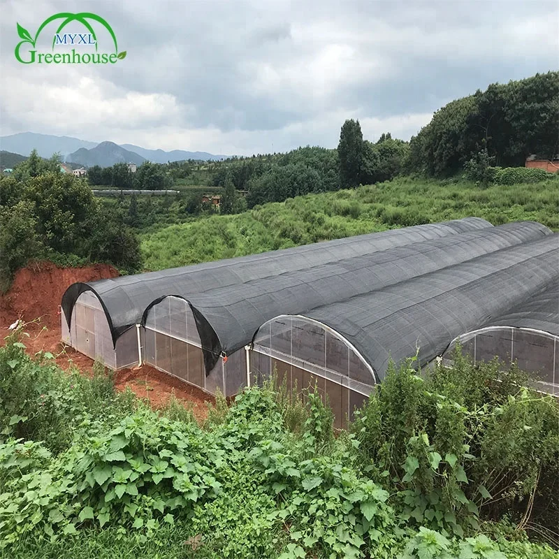 MYXL High Quality Anti-drip Plastic Film Cover Green Houses for Agriculture Production