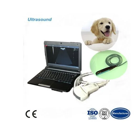 Low price Laptop Veterinary Ultrasound Scanner VET Full Digital  Ultrasonic  Diagnostic  System