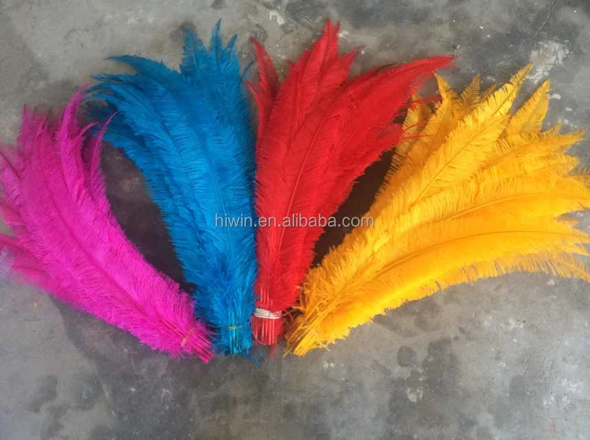 Trimmed Ostrich Feather