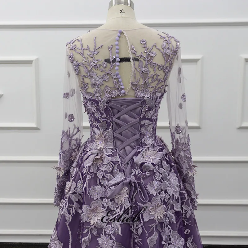 Amazing High-end Wedding Dress Purple Tulle And Lace Bridal Dress short Train Bridal Wedding Dresses 2019 New Styles With Veils