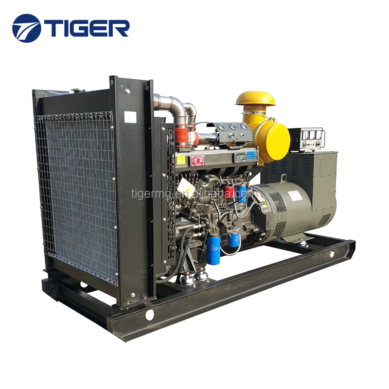 10kw to 1000kw good price durable thunder diesel generator